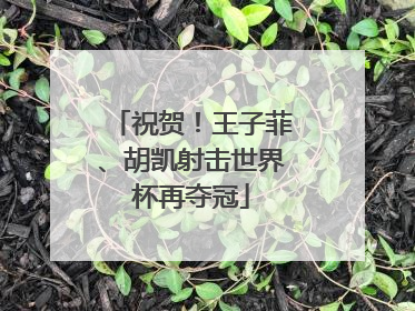 祝贺！王子菲、胡凯射击世界杯再夺冠