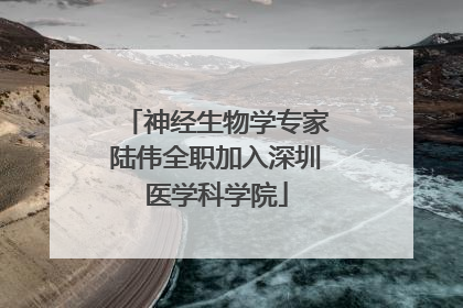 神经生物学专家陆伟全职加入深圳医学科学院
