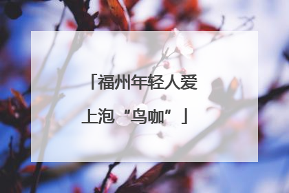 福州年轻人爱上泡“鸟咖”