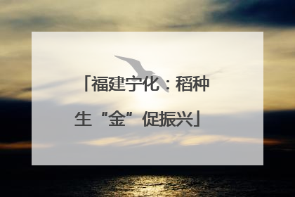 福建宁化：稻种生“金”促振兴
