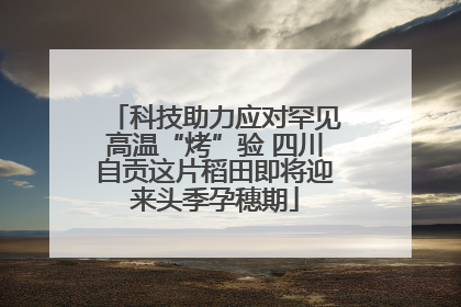 科技助力应对罕见高温“烤”验 四川自贡这片稻田即将迎来头季孕穗期