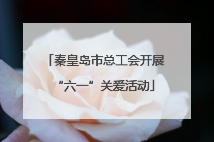 秦皇岛市总工会开展“六一”关爱活动
