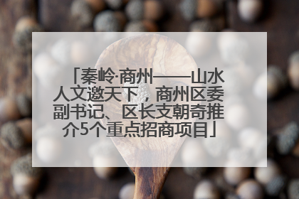 秦岭·商州——山水人文邀天下，商州区委副书记、区长支朝奇推介5个重点招商项目