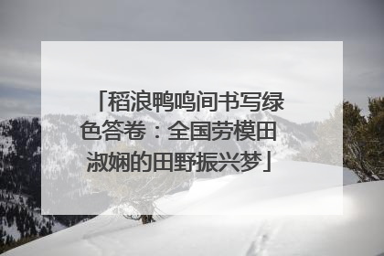 稻浪鸭鸣间书写绿色答卷：全国劳模田淑娴的田野振兴梦