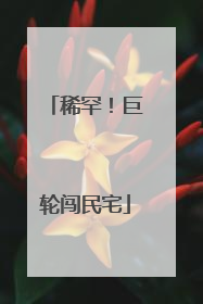 稀罕！巨轮闯民宅