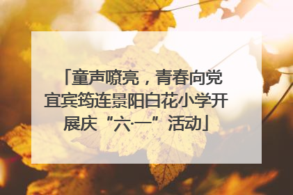 童声嘹亮，青春向党 宜宾筠连景阳白花小学开展庆“六·一”活动