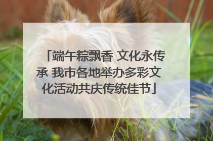 端午粽飘香 文化永传承 我市各地举办多彩文化活动共庆传统佳节