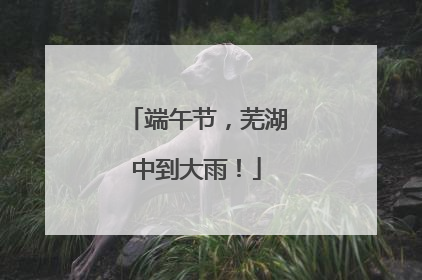 端午节，芜湖中到大雨！