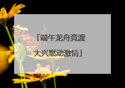 端午龙舟竞渡 大兴燃动激情