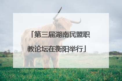 第三届湖南民盟职教论坛在衡阳举行