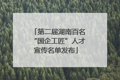 第二届湖南百名“国企工匠”人才宣传名单发布