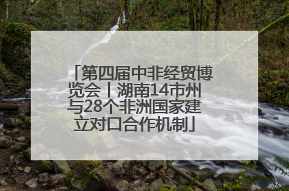 第四届中非经贸博览会丨湖南14市州与28个非洲国家建立对口合作机制