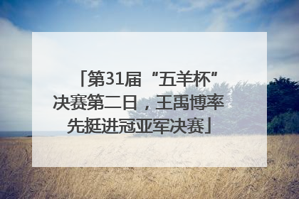 第31届“五羊杯”决赛第二日，王禹博率先挺进冠亚军决赛