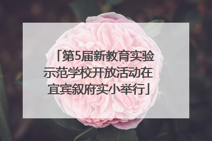 第5届新教育实验示范学校开放活动在宜宾叙府实小举行