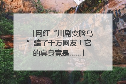 网红“川剧变脸鸟”骗了千万网友！它的真身竟是……