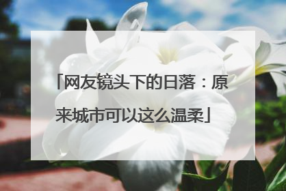 网友镜头下的日落：原来城市可以这么温柔