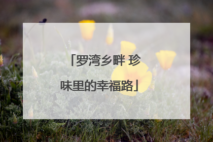 罗湾乡畔 珍味里的幸福路