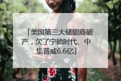 美国第三大储能商破产，欠了宁德时代、中集普威6.6亿