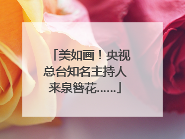 美如画！央视总台知名主持人来泉簪花……