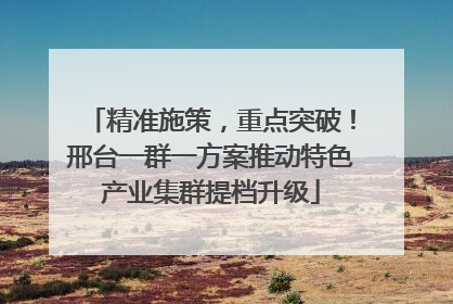 精准施策，重点突破！邢台一群一方案推动特色产业集群提档升级