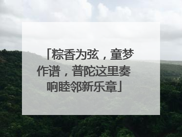 粽香为弦，童梦作谱，普陀这里奏响睦邻新乐章