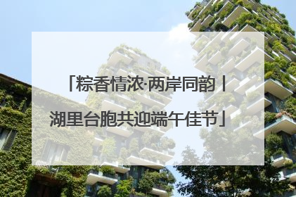 粽香情浓·两岸同韵丨湖里台胞共迎端午佳节