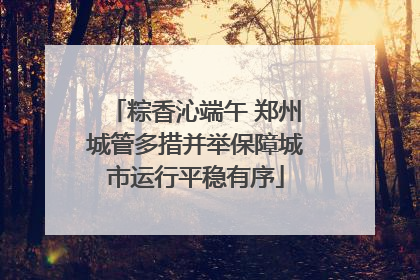 粽香沁端午 郑州城管多措并举保障城市运行平稳有序