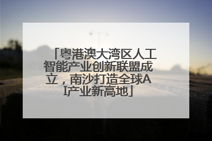 粤港澳大湾区人工智能产业创新联盟成立，南沙打造全球AI产业新高地