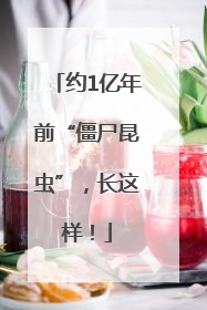 约1亿年前“僵尸昆虫”，长这样！