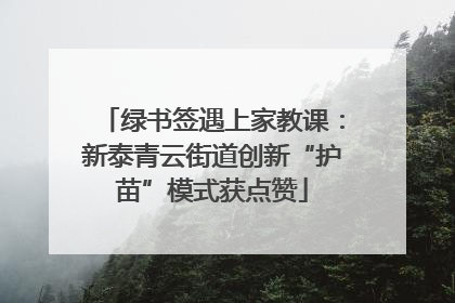 绿书签遇上家教课：新泰青云街道创新“护苗”模式获点赞
