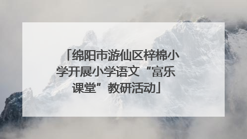 绵阳市游仙区梓棉小学开展小学语文“富乐课堂”教研活动