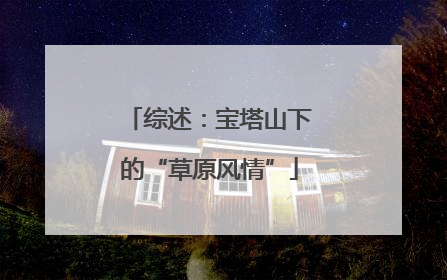综述：宝塔山下的“草原风情”