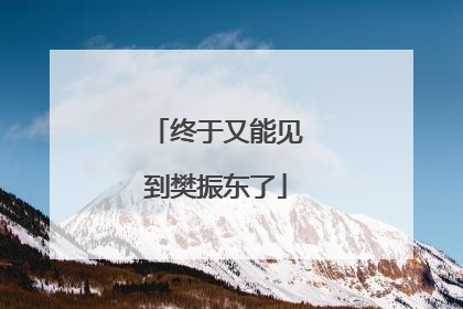 终于又能见到樊振东了