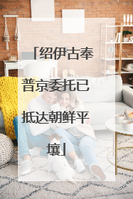 绍伊古奉普京委托已抵达朝鲜平壤