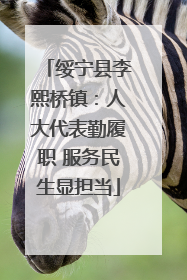 绥宁县李熙桥镇：人大代表勤履职 服务民生显担当