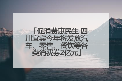 促消费惠民生 四川宜宾今年将发放汽车、零售、餐饮等各类消费券2亿元