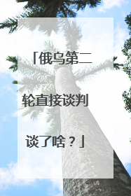 俄乌第二轮直接谈判谈了啥？