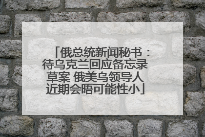 俄总统新闻秘书：待乌克兰回应备忘录草案 俄美乌领导人近期会晤可能性小