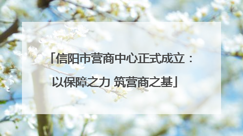 信阳市营商中心正式成立：以保障之力 筑营商之基