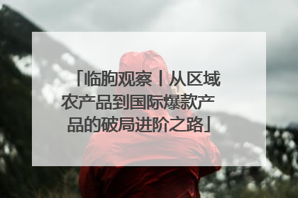 临朐观察丨从区域农产品到国际爆款产品的破局进阶之路