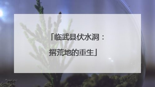 临武县伏水洞：撂荒地的重生