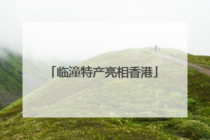 临潼特产亮相香港