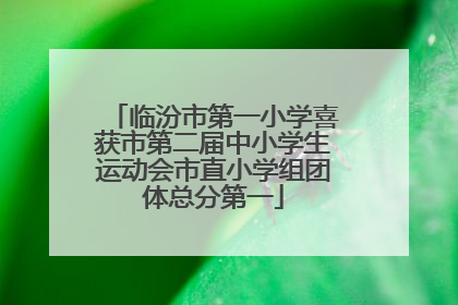 临汾市第一小学喜获市第二届中小学生运动会市直小学组团体总分第一