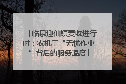 临泉迎仙镇麦收进行时：农机手“无忧作业”背后的服务温度