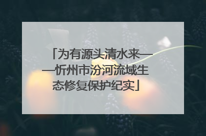 为有源头清水来——忻州市汾河流域生态修复保护纪实