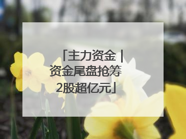 主力资金｜资金尾盘抢筹2股超亿元