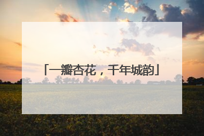 一瓣杏花，千年城韵