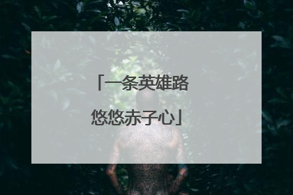 一条英雄路 悠悠赤子心