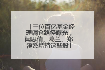 三位百亿基金经理调仓路径曝光，闫思倩、葛兰、郑澄然增持这些股
