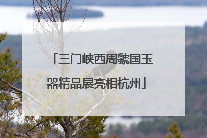 三门峡西周虢国玉器精品展亮相杭州